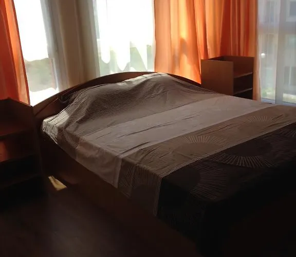 招待所 Sng 内塞伯尔